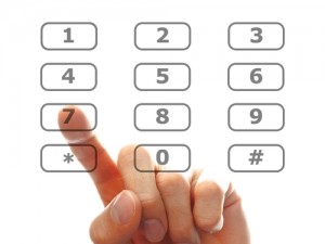 IVR Development Services