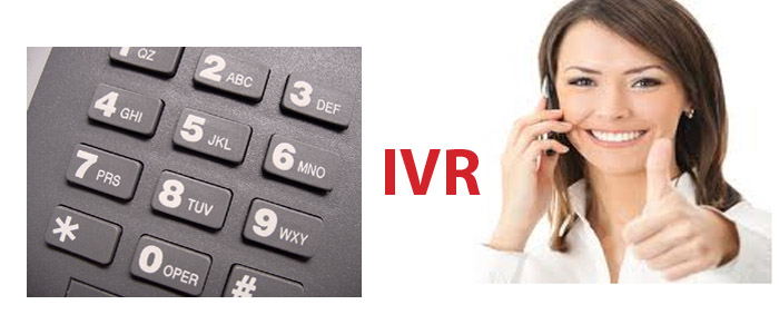 IVR system